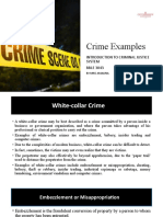 Crime Examples: Introduction To Criminal Justice System BBLE 3043