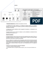 Resumen Ejercicio Empaquetadora Francisco Palazon