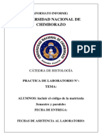 Formato Informe Completo