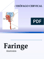 Faringe y Esofago Cervical