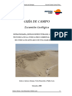 Texto Guía de Campo Pisco 2008