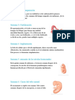 Desarrollo Embrionario V