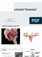 Anatomia Sexual Femenina y Neurobiologia de La Sexualidad Final