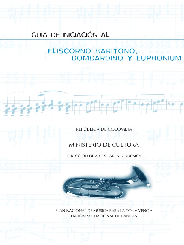 ESTUCHE TECLADO PEQUEÑO NACIONAL – Ortizo Instrumentos Musicales