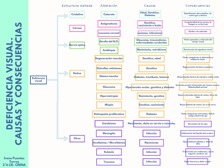 Causas y Consecuencias de la Deficiencia Visual | PDF | Ojo humano ...