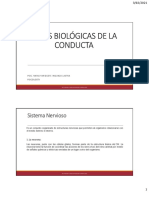 Bases Biologicas 2021