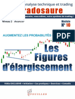 Tradosaure 010.a.figuresdelargissement-pdf(1)