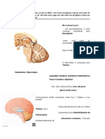 Resumo NeuroPsicologia - Neuroanatomia