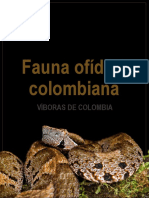 Fauna of Dica Colombia VP