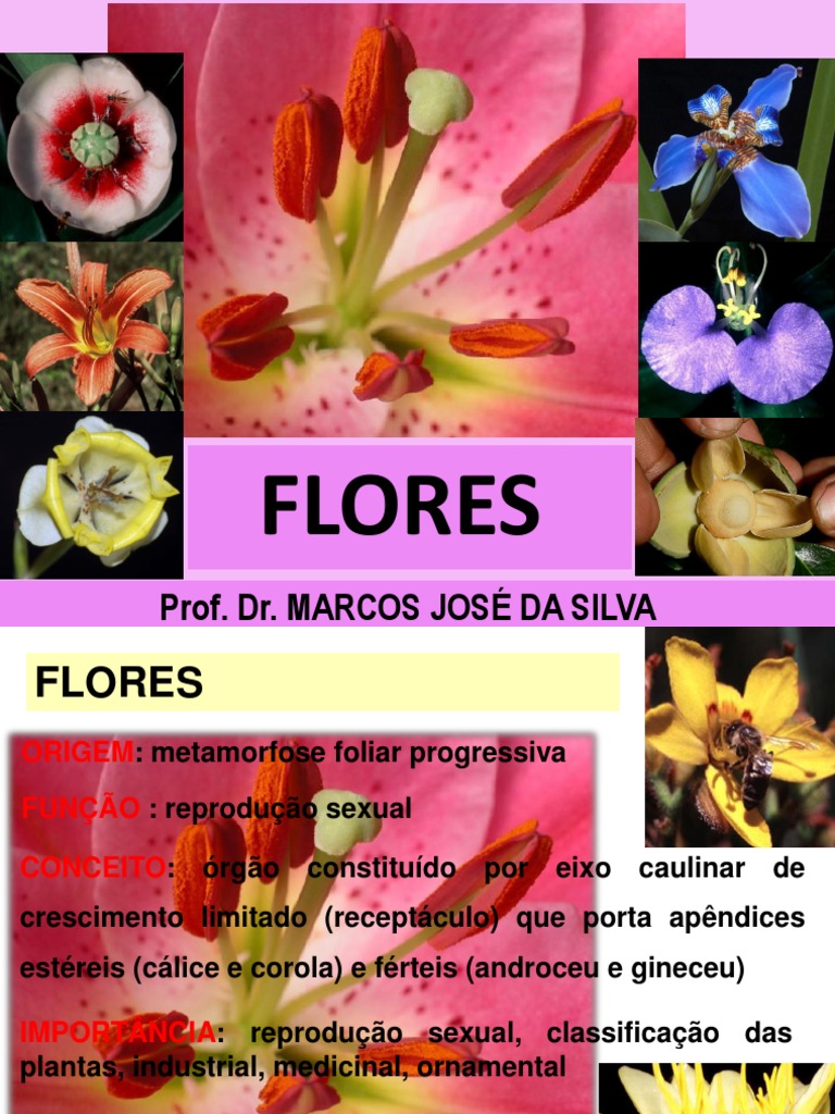 Flores Introdução | PDF | Morfologia vegetal | Sistema reprodutivo