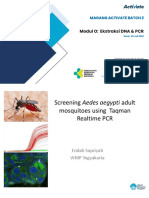 Modul O - Ekstraksi DNA Dan PCR - 25 Juli 2022