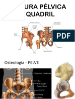 Cintura Peuvica Ou Quadril