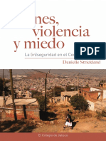 Jóvenes, Violencia y Miedo - Web