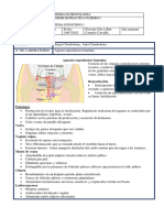 Aparato Reproductor Femenino