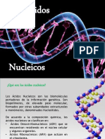 Acidos Nucleicos-1