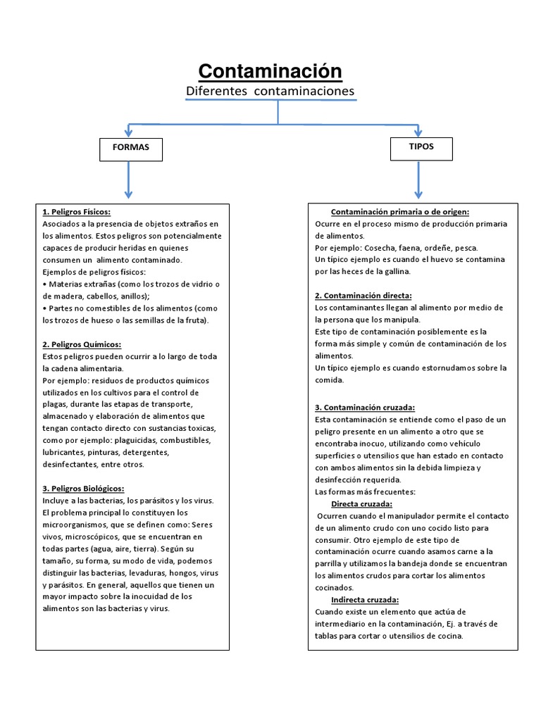Formas y tipos de contaminación en los alimentos | PDF | Alimentos ...