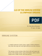 Cells and Organs of the Immune System