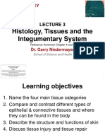 Histology, Tissues and The Integumentary System: Dr. Garry Niedermayer