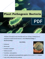 Plant Pathogenic Bacteria