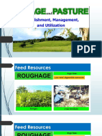 Types of Feeding Management Systems for Ruminants