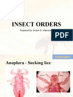 Insect Orders: Prepared By: Jerzon G. Villacencio