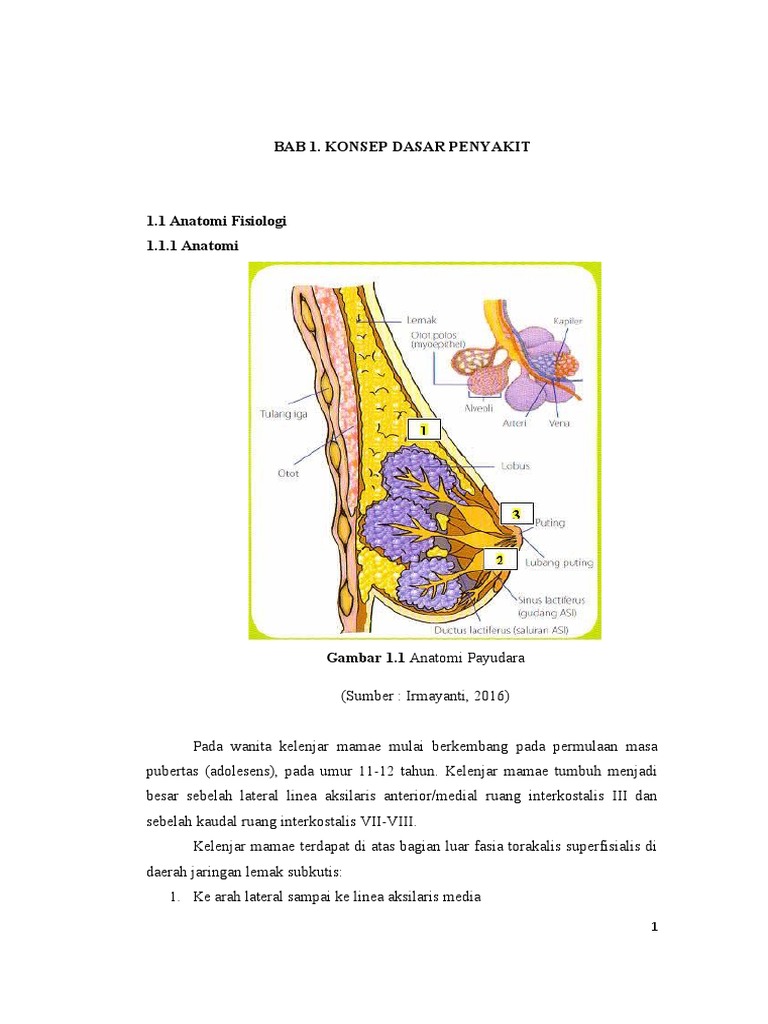 LP Ca Mamae 1 | PDF