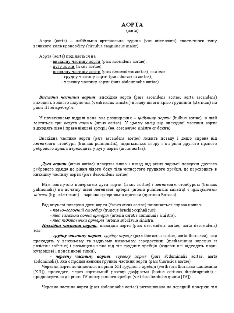 гілки дуги | PDF