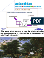 Nucleotides (Chemistry, Structure, Function & Synthesis)