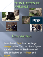 The Eating Habits of Animals PPT Teeth 140518162227 Phpapp02