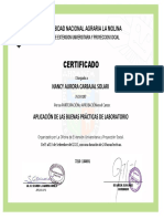 Certificado: Nancy Aurora Carbajal Solari