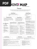 Tissues: Animal Tissues Plant Tissues