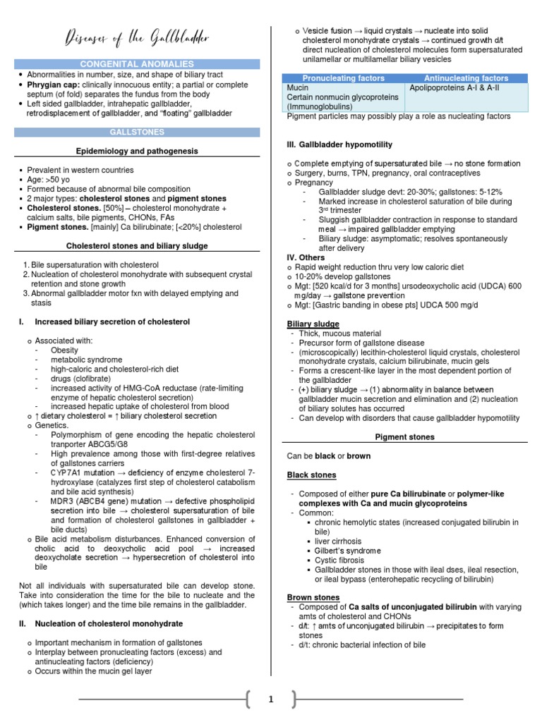 Gallbladder Diseases and Gallstones Guide | PDF | Gallbladder | Bile