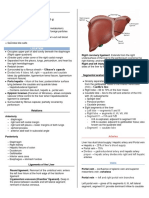 Liver Anatomy - Snell