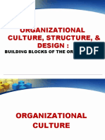 STO Issues-Organizational Structure and Culture