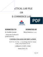 Practical Lab File ON E-Commerce Lab: Summited To Summited by