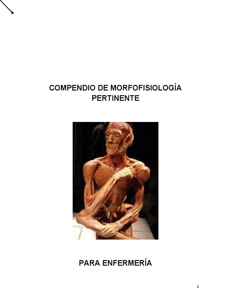 Osteologia PDF La columna vertebral Vértebra