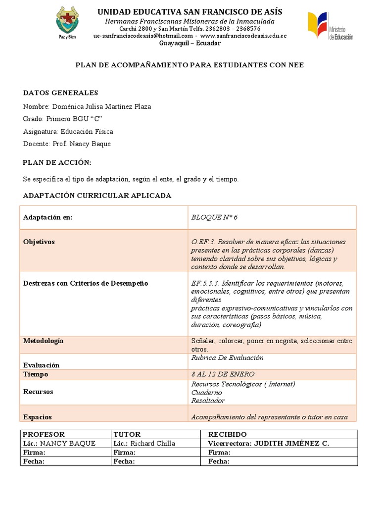 Plan de Acompañamiento para Estudiantes Con Nee Domenica Martinez ...