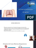 Sistema Respiratorio y Endocrino