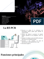 RT PCR