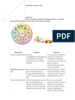 Vitaminas y Minerales