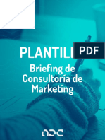 Plantilla Briefing de Consultoria de Marketing