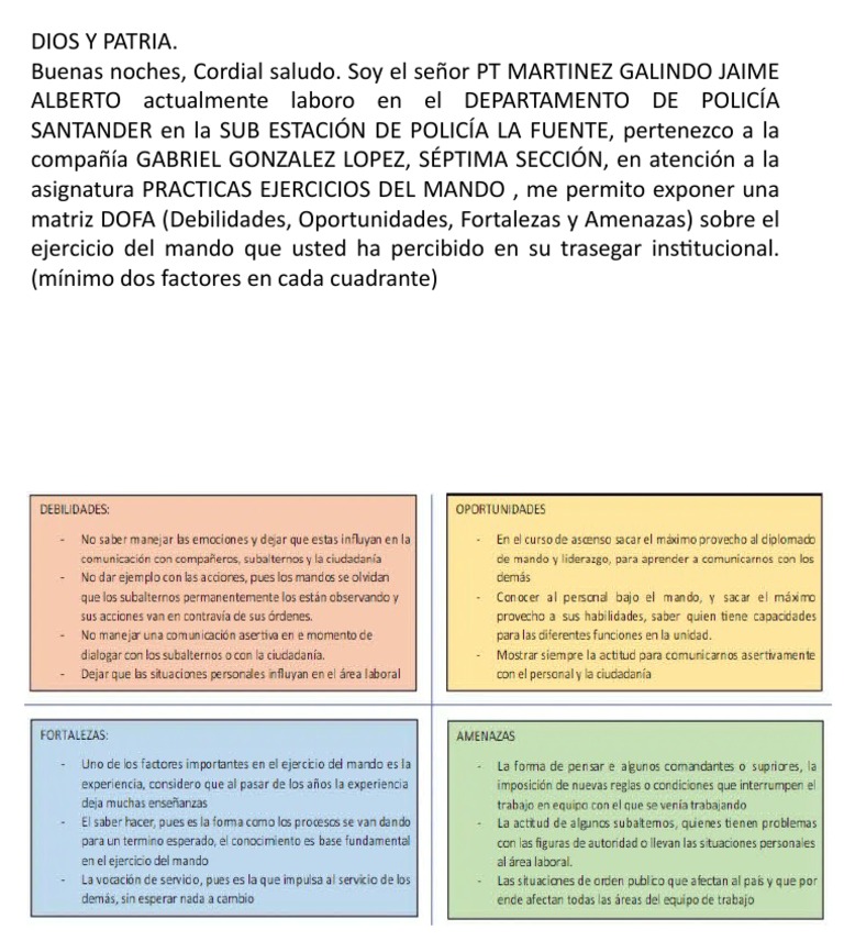 Matriz DOFA en Ejercicio del Mando | PDF | Derecho
