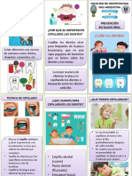 Triptico Salud Oral