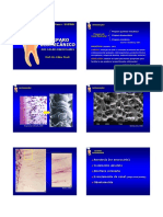 Preparo Biomecânico Manual Picole