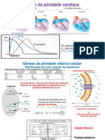 Gênese Da Atividade Cardíaca: PA: Potencial de Ação E: Potencial de Membrana