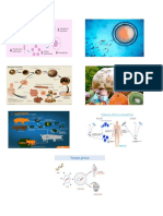 imagenes tecnica de biotecnologia