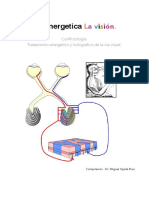 Anatomia Del Ojo - Bioenergetica La Vision