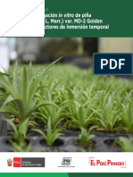 Manual de Propagación in Vitro de Piña (Ananas Comosus L. Merr.) Var. MD-2 Golden Utilizando Biorreactores de Inmersión Temporal