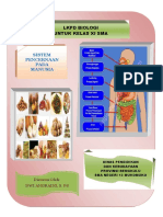 LKPD Kelas-Xi-Sistem-Pencernaan