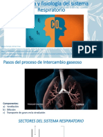 Anatomia y Fisiologia Del Sistema Respiratorio